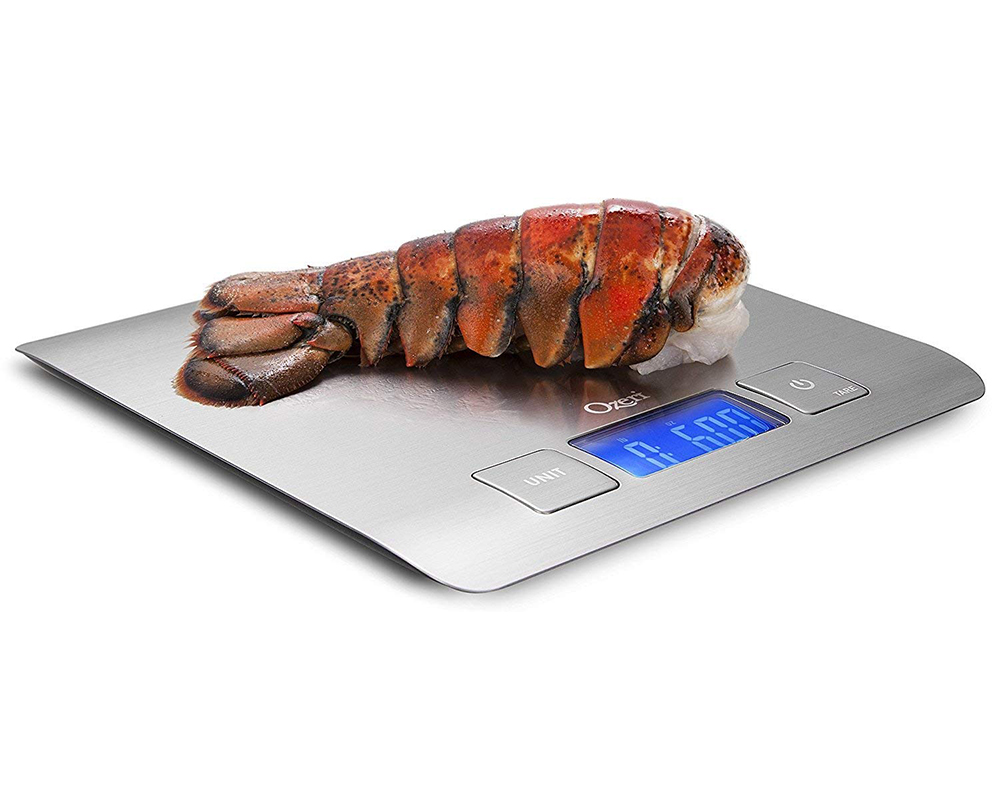 Zenith Digital Kitchen Scale by Ozeri, in Refined Stainless