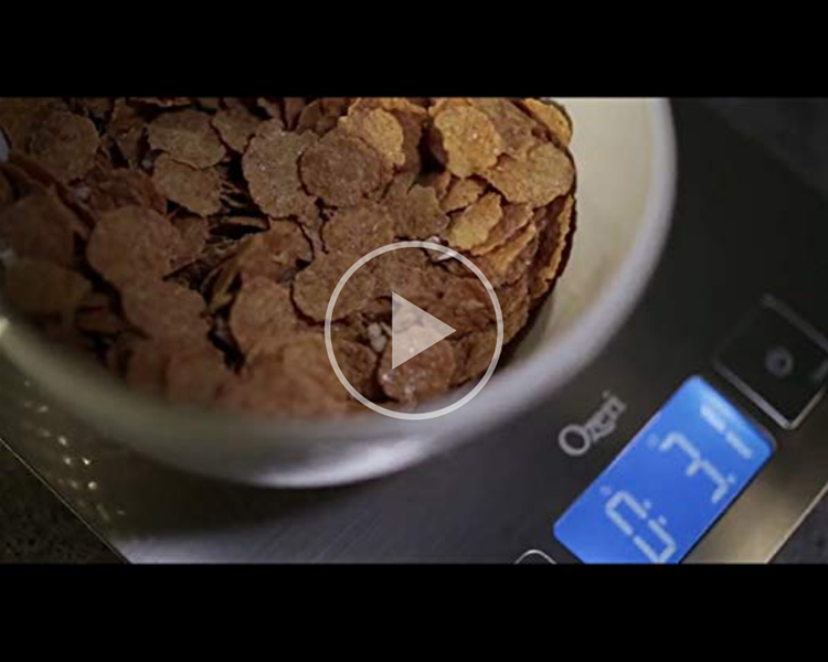 Zenith Digital Kitchen Scale by Ozeri, in Refined Stainless