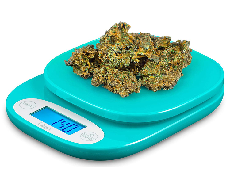  Ozeri ZK24 Garden and Kitchen Scale, with 0.5 g (0.01 oz)  Precision Weighing Technology, in Teal : Kitchen & Dining